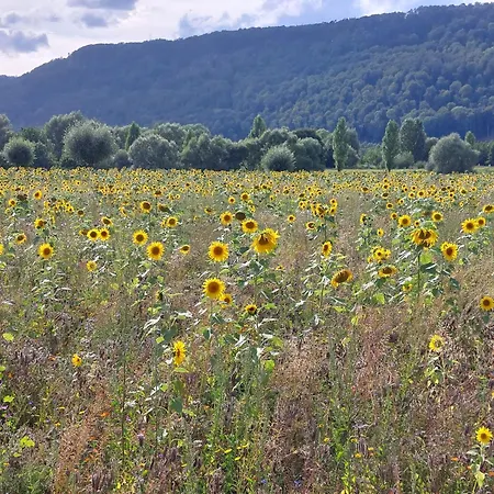 Mw 82m2 Weserbergland An Der Weser 2 Terrassen Waesche Und Endreinigung *