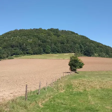 Mw 1b 82m2 Weserbergland Weser Inkl 2 Terrassen Waesche Und Endreinigung Self Checkin Apartman Höxter
