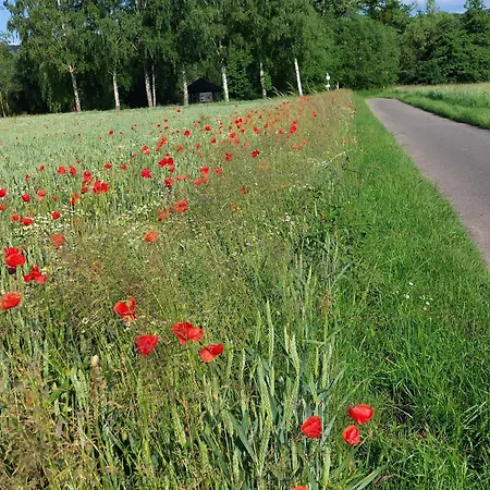 Apartman Mw 1b 82m2 Weserbergland Weser Inkl 2 Terrassen Waesche Und Endreinigung Self Checkin Höxter