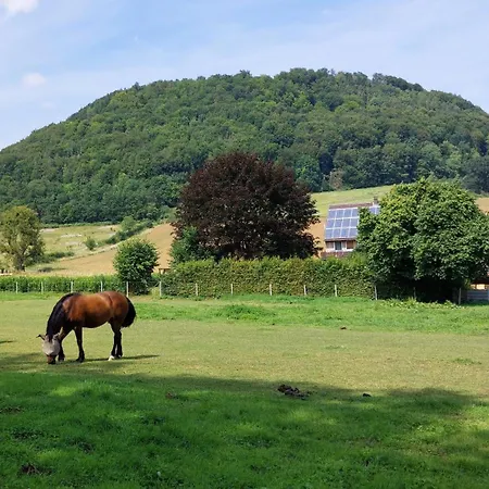 Апартаменты Mw 1b 82m2 Weserbergland Weser Inkl 2 Terrassen Waesche Und Endreinigung Self Checkin Хокстер