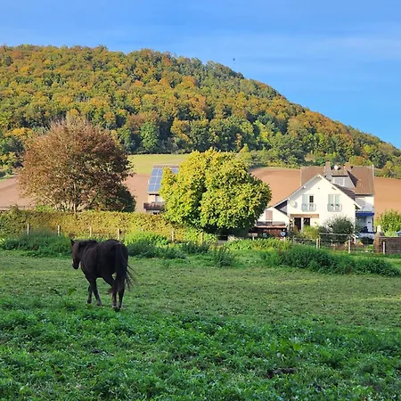 Mw 1b 82m2 Weserbergland Weser Inkl 2 Terrassen Waesche Und Endreinigung Self Checkin Апартаменты Хокстер