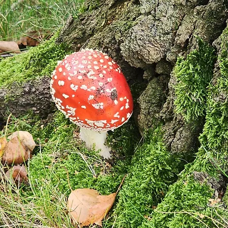 Mw 1b 82m2 Weserbergland Weser Inkl 2 Terrassen Waesche Und Endreinigung Self Checkin Апартаменты Хокстер