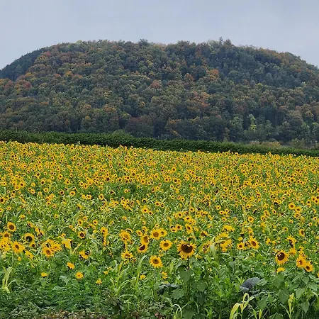 Mw 1b 82m2 Weserbergland Weser Inkl 2 Terrassen Waesche Und Endreinigung Self Checkin Apartman