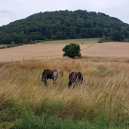Mw 1b 82m2 Weserbergland Weser Inkl 2 Terrassen Waesche Und Endreinigung Self Checkin *