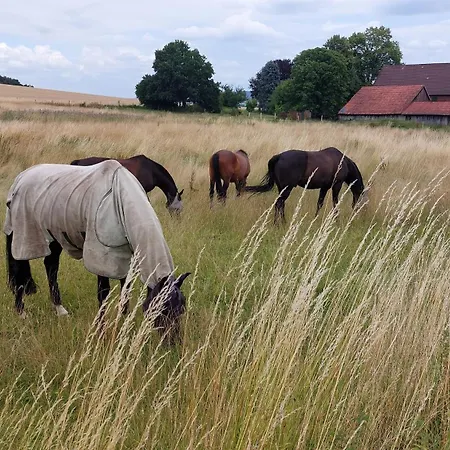 Mw 1b 82m2 Weserbergland Weser Inkl 2 Terrassen Waesche Und Endreinigung Self Checkin Апартаменты *