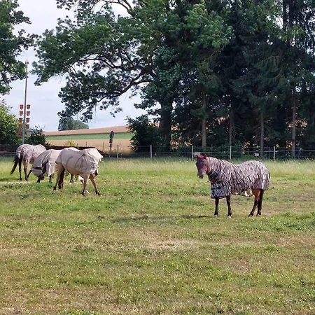 Апартаменты Mw 1b 82m2 Weserbergland Weser Inkl 2 Terrassen Waesche Und Endreinigung Self Checkin *