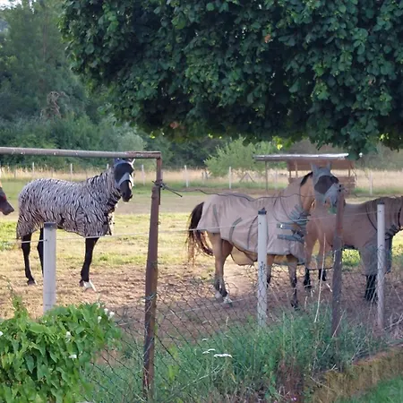 Apartman Mw 1b 82m2 Weserbergland Weser Inkl 2 Terrassen Waesche Und Endreinigung Self Checkin