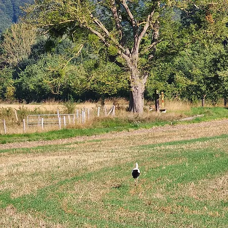 Апартаменты Mw 1b 82m2 Weserbergland Weser Inkl 2 Terrassen Waesche Und Endreinigung Self Checkin Хокстер