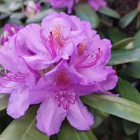 Апартаменты Mw 1b 82m2 Weserbergland Weser Inkl 2 Terrassen Waesche Und Endreinigung Self Checkin *