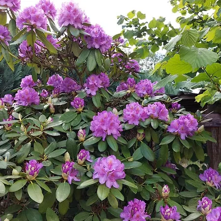 Mw 1b 82m2 Weserbergland Weser Inkl 2 Terrassen Waesche Und Endreinigung Self Checkin Апартаменты