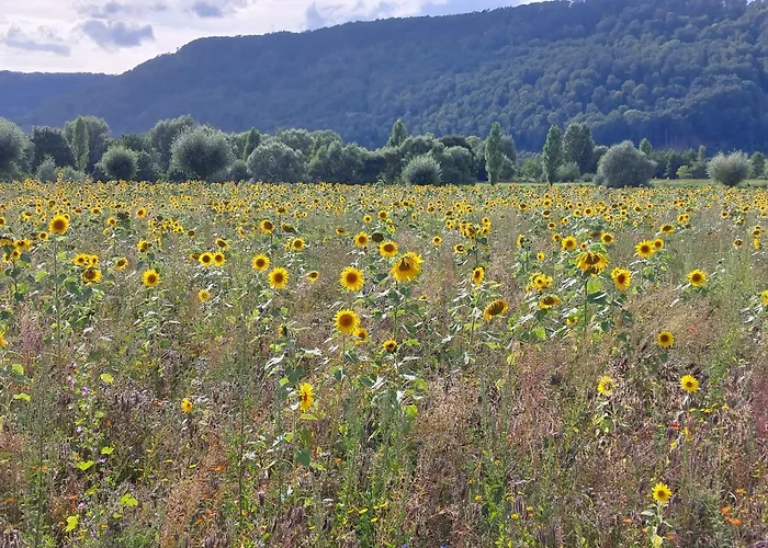 Mw 1b 82m2 Weserbergland Weser Inkl 2 Terrassen Waesche Und Endreinigung Self Checkin *