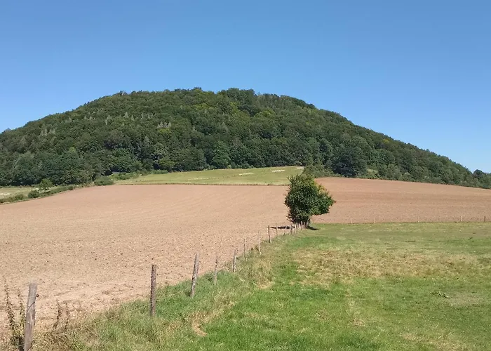 Mw 1b 82m2 Weserbergland Weser Inkl 2 Terrassen Waesche Und Endreinigung Self Checkin Lägenhet Höxter