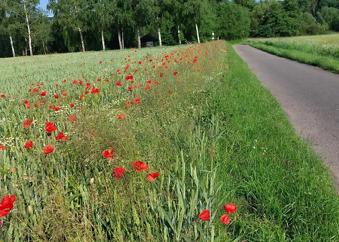Lägenhet Mw 1b 82m2 Weserbergland Weser Inkl 2 Terrassen Waesche Und Endreinigung Self Checkin Höxter
