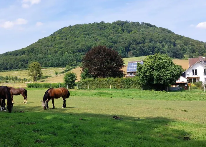 Lägenhet Mw 1b 82m2 Weserbergland Weser Inkl 2 Terrassen Waesche Und Endreinigung Self Checkin Höxter