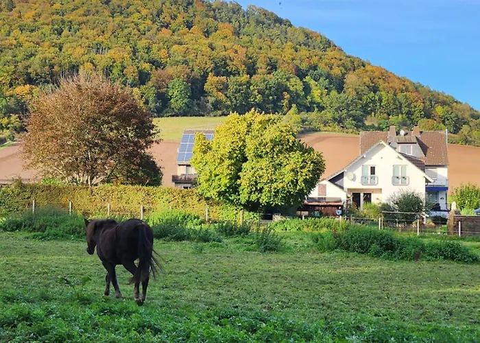 Mw 1b 82m2 Weserbergland Weser Inkl 2 Terrassen Waesche Und Endreinigung Self Checkin Appartement Höxter