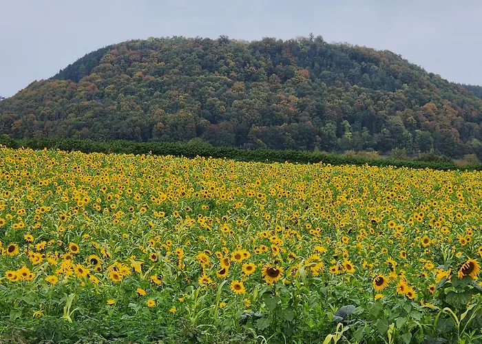 Mw 1b 82m2 Weserbergland Weser Inkl 2 Terrassen Waesche Und Endreinigung Self Checkin Lägenhet