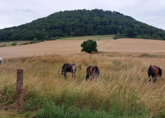 Mw 1b 82m2 Weserbergland Weser Inkl 2 Terrassen Waesche Und Endreinigung Self Checkin *