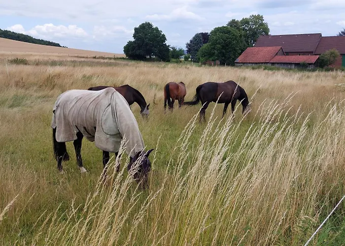 Mw 1b 82m2 Weserbergland Weser Inkl 2 Terrassen Waesche Und Endreinigung Self Checkin Lägenhet *