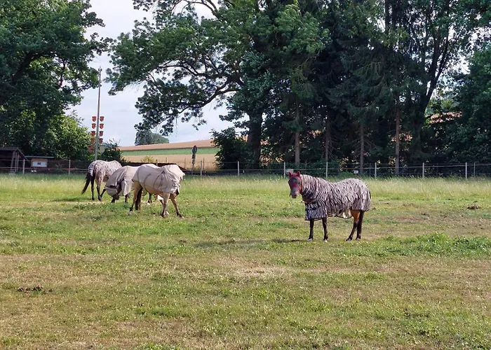 Lägenhet Mw 1b 82m2 Weserbergland Weser Inkl 2 Terrassen Waesche Und Endreinigung Self Checkin *