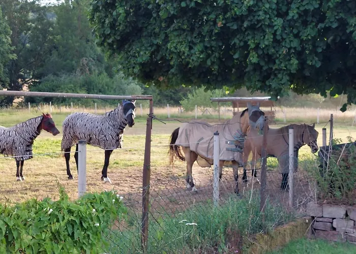 Appartement Mw 1b 82m2 Weserbergland Weser Inkl 2 Terrassen Waesche Und Endreinigung Self Checkin