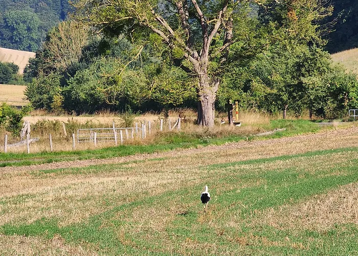 Lägenhet Mw 1b 82m2 Weserbergland Weser Inkl 2 Terrassen Waesche Und Endreinigung Self Checkin Höxter