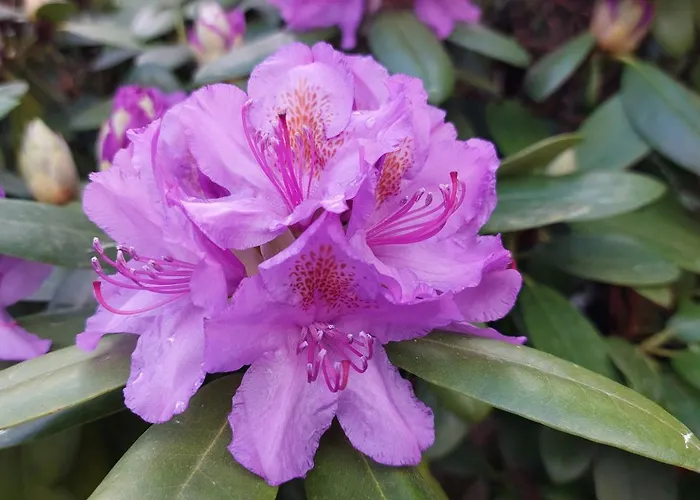 Lägenhet Mw 1b 82m2 Weserbergland Weser Inkl 2 Terrassen Waesche Und Endreinigung Self Checkin *