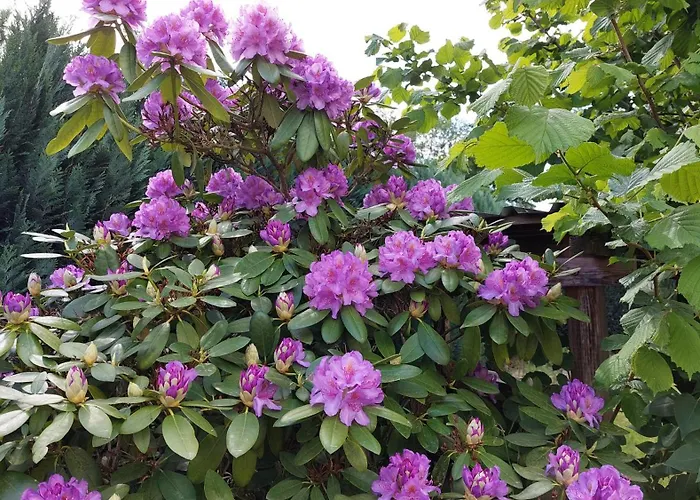 Mw 1b 82m2 Weserbergland Weser Inkl 2 Terrassen Waesche Und Endreinigung Self Checkin Appartement